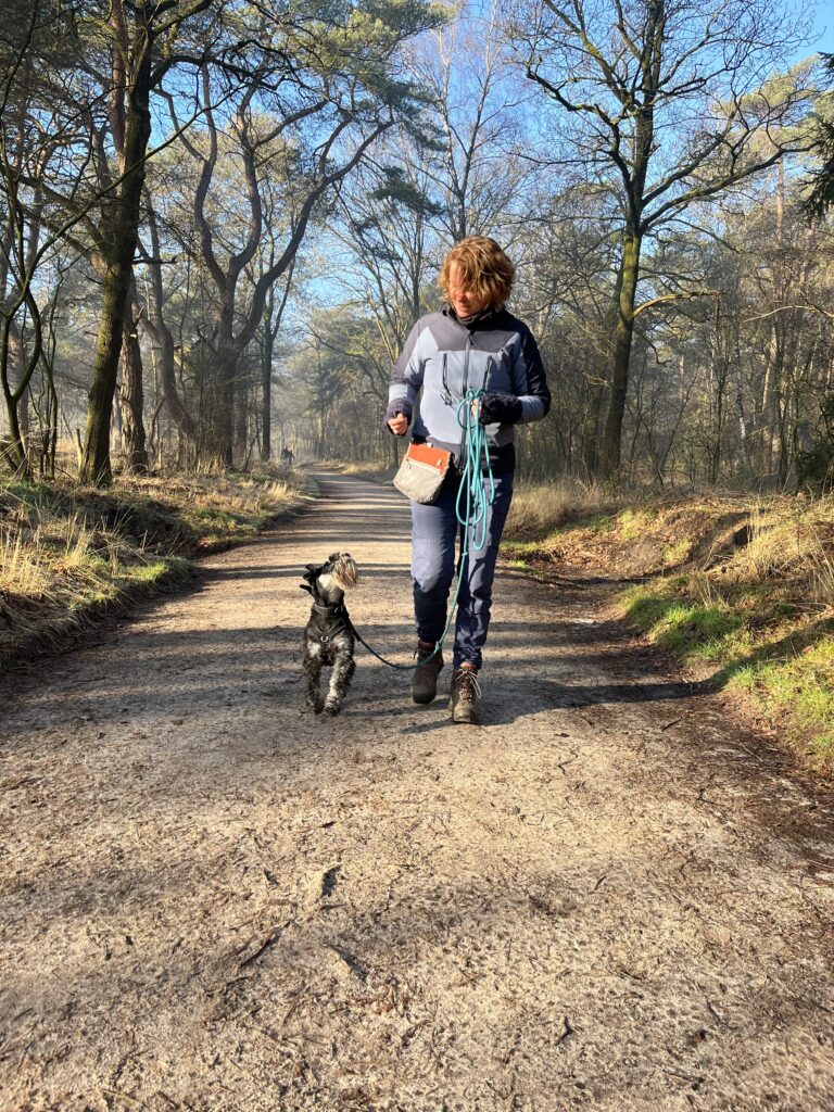 Samen stappen zetten naar beter gedrag – Gedragstherapie voor honden bij Poot voor Poot